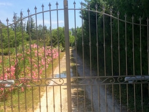 Ein von einem Metallzaun gesäumter Weg mit einem Feldweg, der durch einen Garten mit rosa Blumen führt.