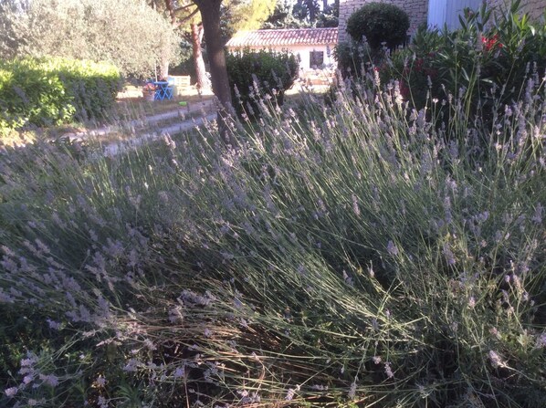 Enceinte de lâhĂ©bergement