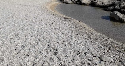 VILLA LE MORE Ă MONTECOLOMBO, SIROLO