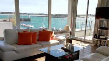 Smart TV, fireplace, DVD player, books