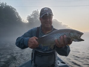 Dusj, håndklær, såpe og toalettpapir