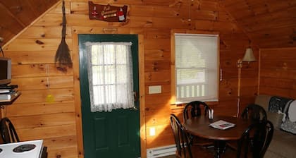 Cabine au bord de la riviĂšre Delaware, branche ouest