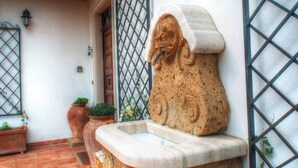 A stone fountain with a carved lion's head, a wooden door, and terracotta planters with plants. - SARKEEP - Villa immersed in the Taurasi vineyards (Luogosano)