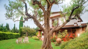 A house with a large tree in the front yard, two lawn chairs, and a well-maintained garden with various plants and flowers. - SARKEEP - Villa immersed in the Taurasi vineyards (Luogosano)