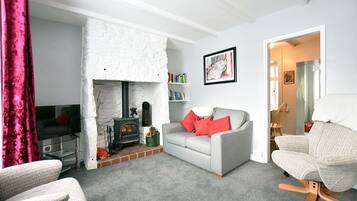 Smart TV, chimenea y libros