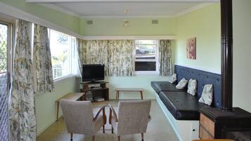 電視、DVD 播放機