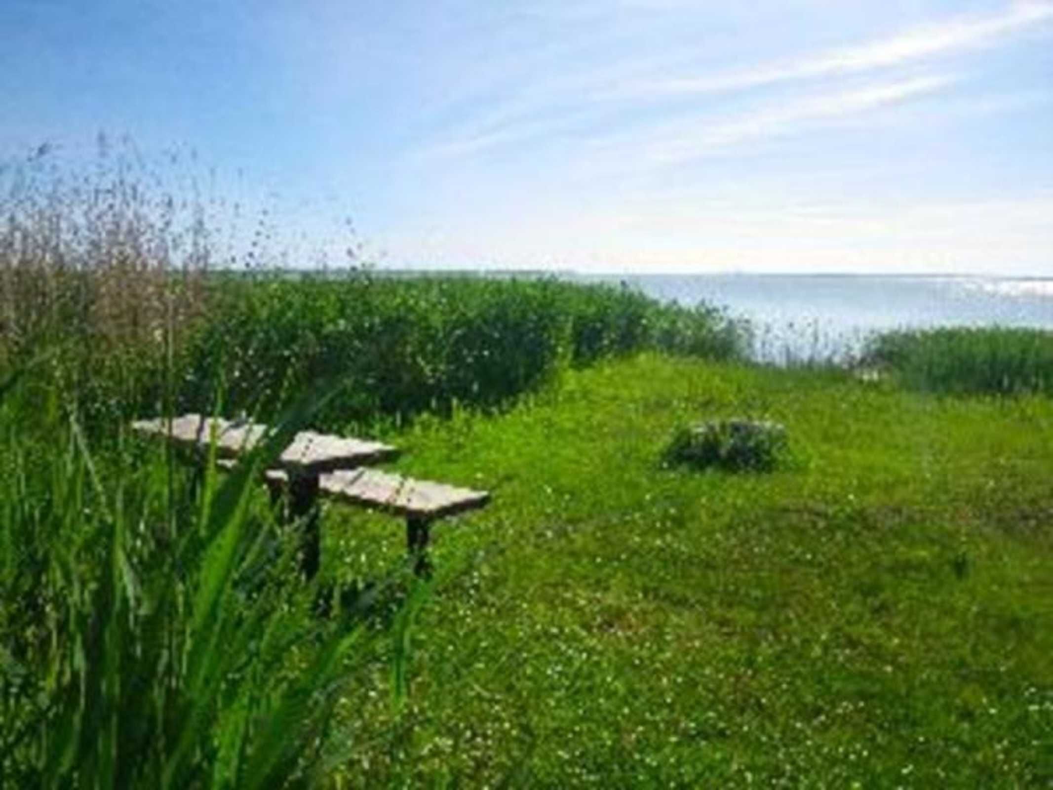 A grassy area with two picnic tables and a body of water in the background.