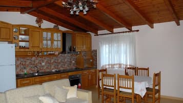 Panoramic Apartment | Private kitchen | Fridge, oven, stovetop, cleaning supplies