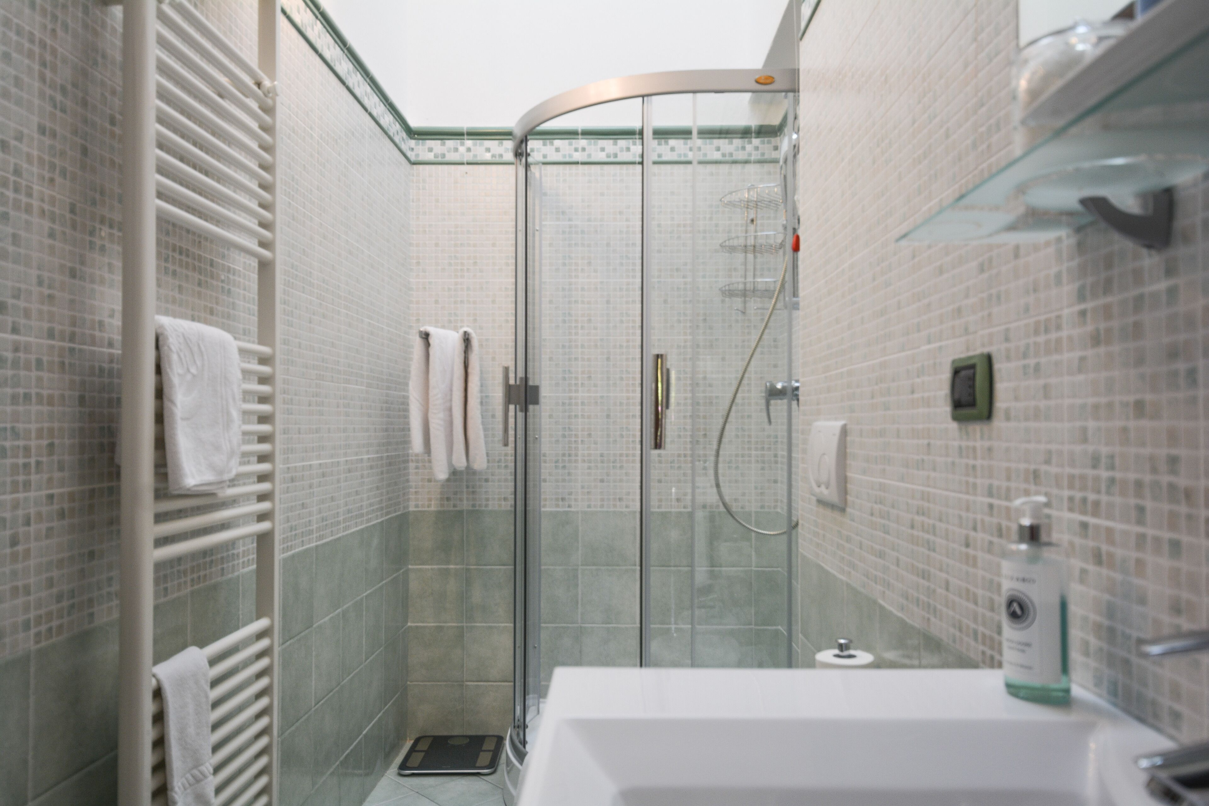 Shower, hair dryer, bidet, towels