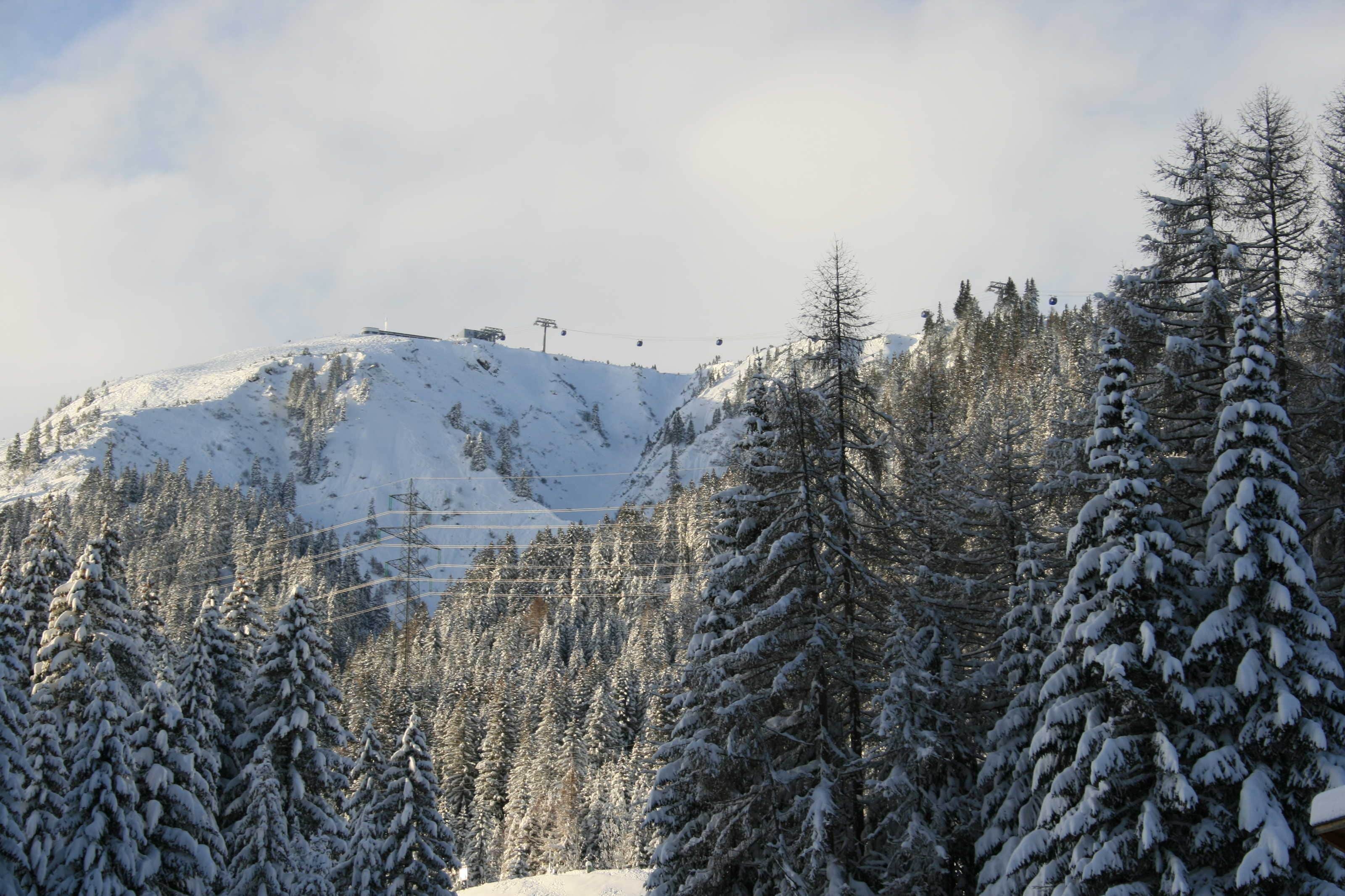 Eine verschneite Berglandschaft mit einer Seilbahn und schneebedeckten Bäumen.