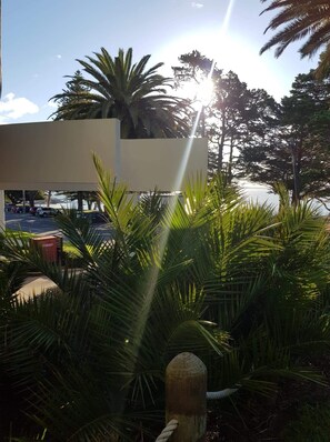 Property grounds - Cowes Couples Retreat - Prime Beachfront Location (Cowes)