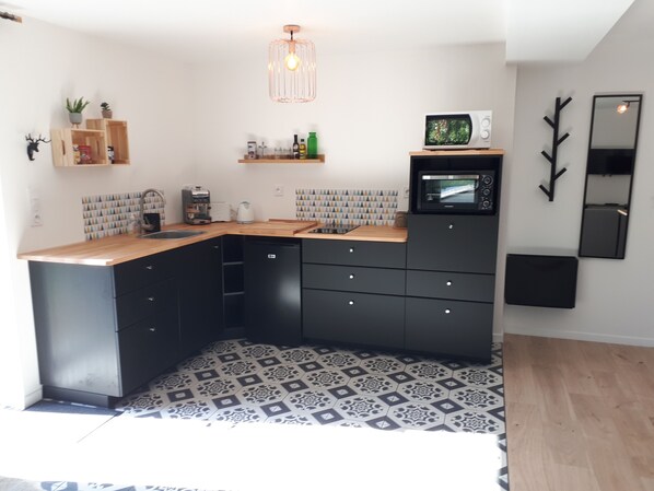 Coffee/tea maker, fridge, microwave, oven - Apartment Pierres de Loire (La Bohalle)