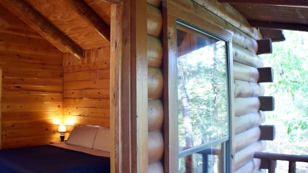 Une chambre de style rustique, avec un lit, une table de chevet et une fenêtre donnant sur la forêt.