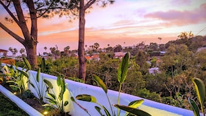 A landscaped garden with a white border, various plants, and a view of a town in the background.