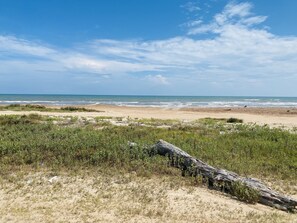 Une plage avec un grand tronc d’arbre au premier plan, des dunes de sable et l’océan en arrière-plan.