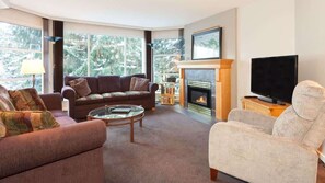 TV, fireplace, offices