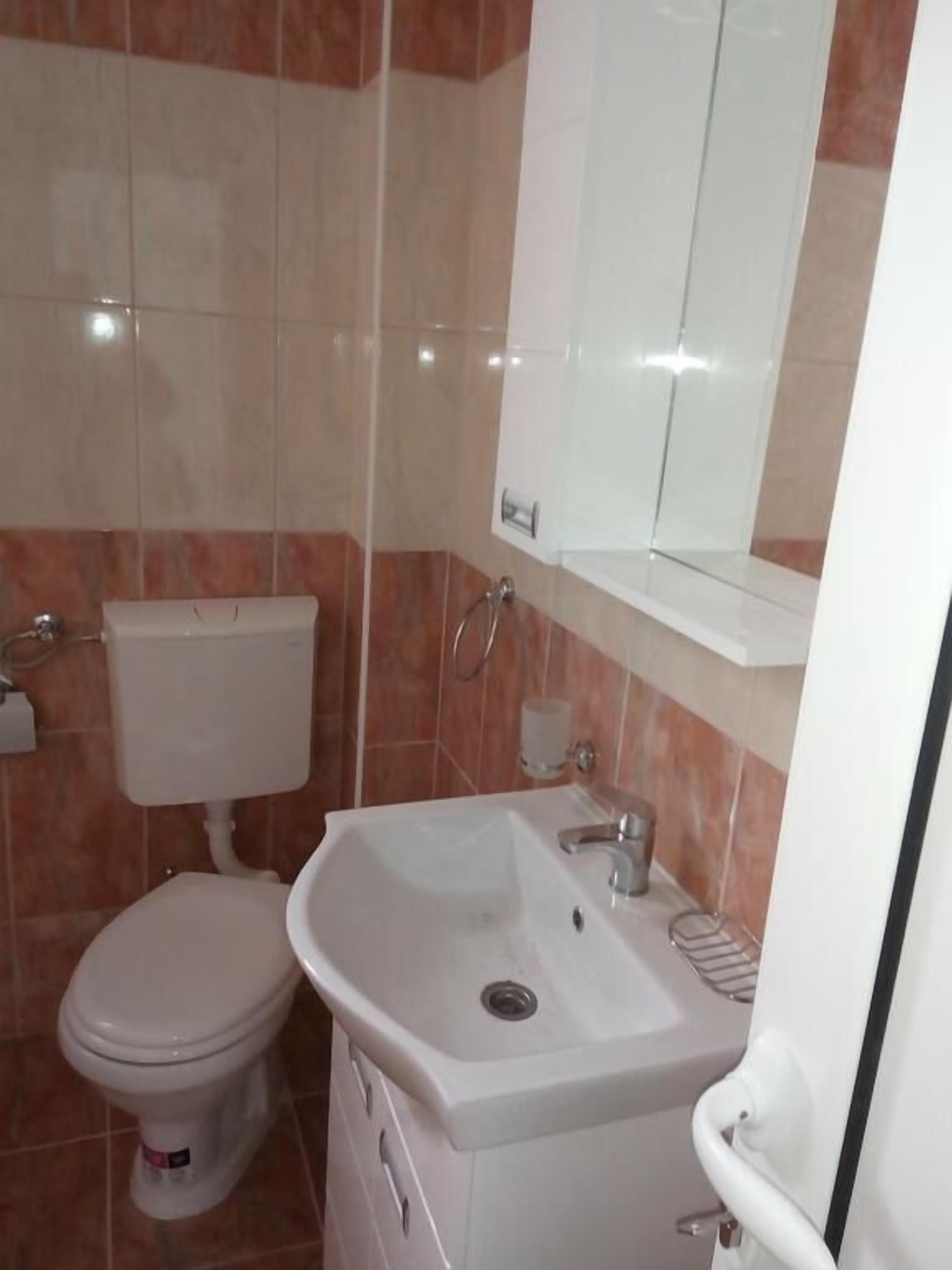 A bathroom with a toilet, sink, and mirror.
