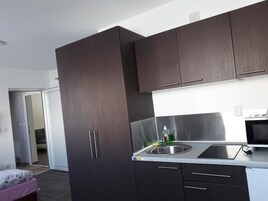 Apartamento estándar, junto a la montaña | Cocina básica privada | Frigorífico, microondas y placa de cocina