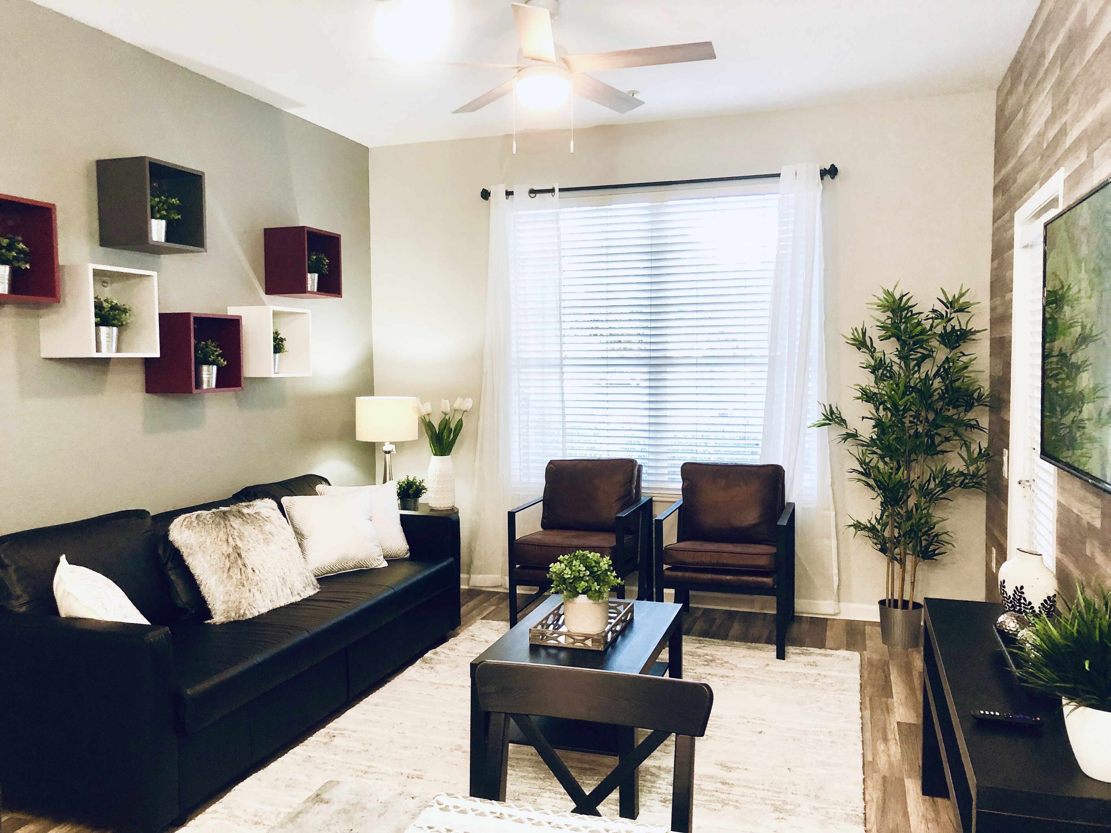 A living room with a dark-colored sofa, two armchairs, a coffee table, and a ceiling fan. There are potted plants on shelves and a window with blinds.