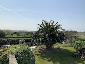 Ein gepflegter Garten mit einer Palme, einer Steinsitzbank und ordentlich geschnittenen Hecken.