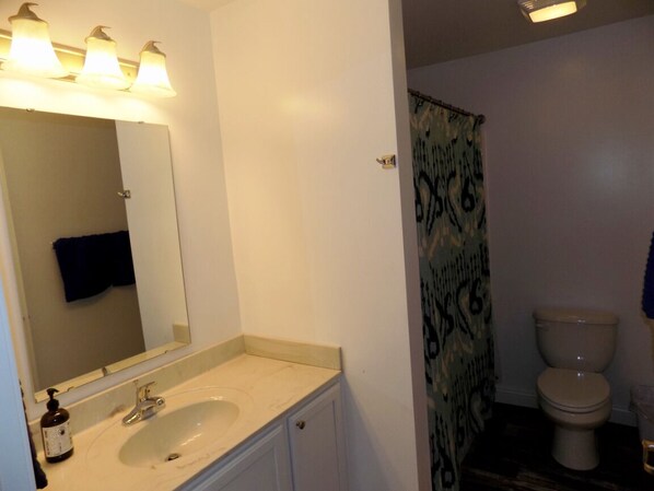 A bathroom with a sink, mirror, and toilet.