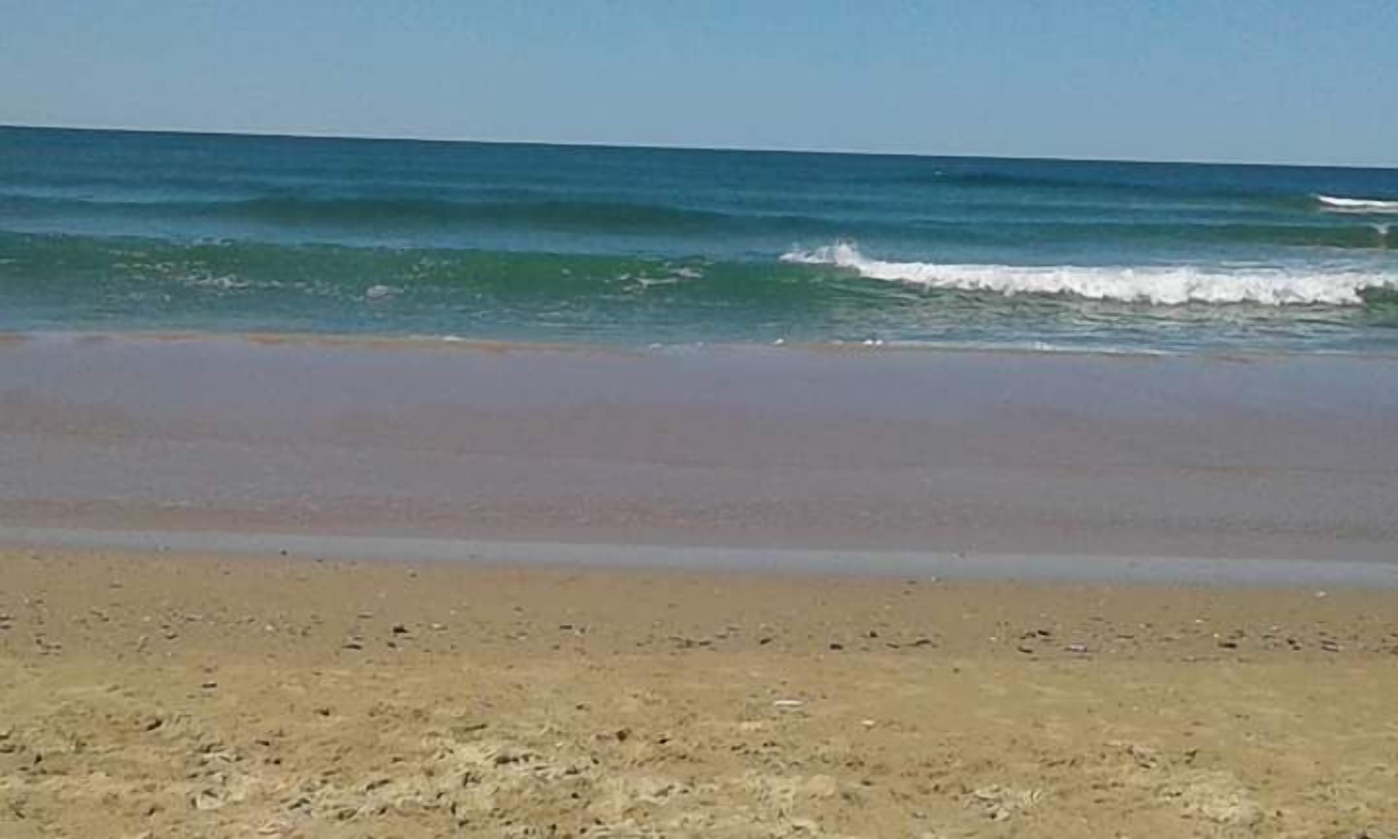 A beach with clear blue water and a sandy shore.