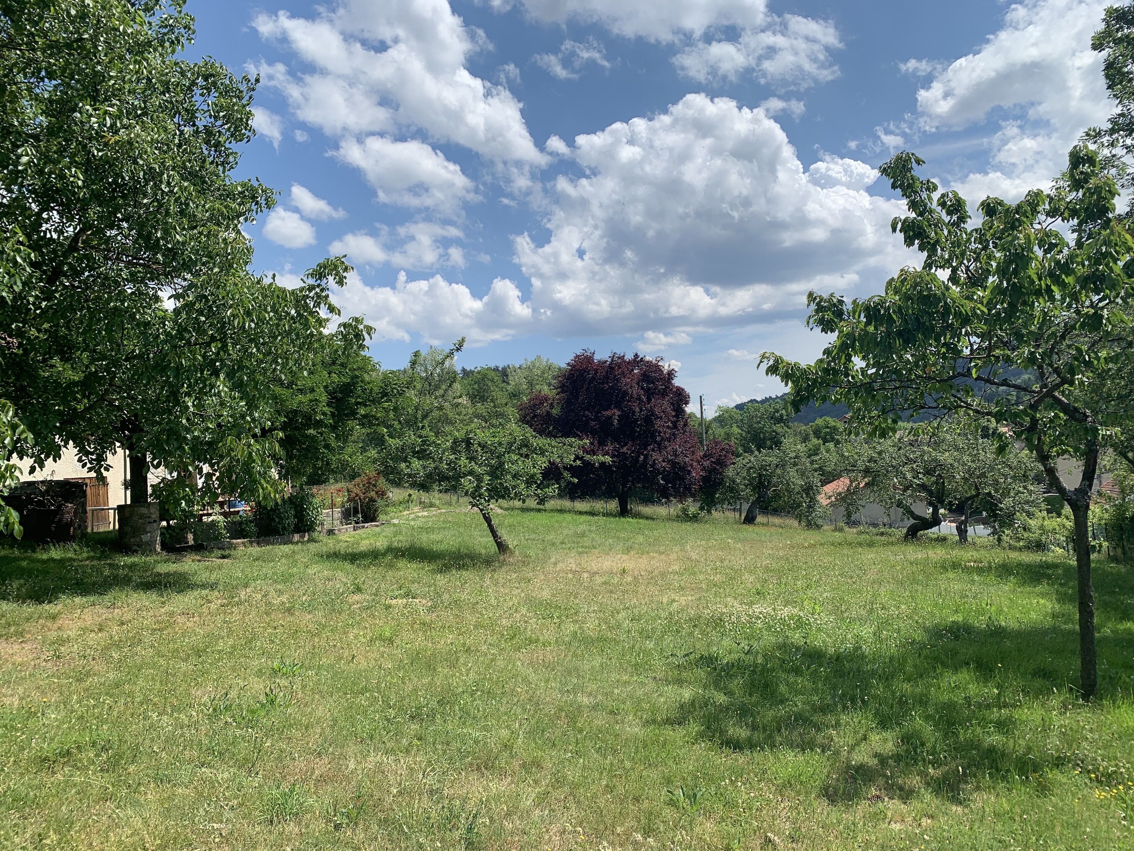 Un champ verdoyant, parsemé d’arbres, sous un ciel dégagé.