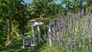 A garden with a white bench, a lantern, and purple flowers.