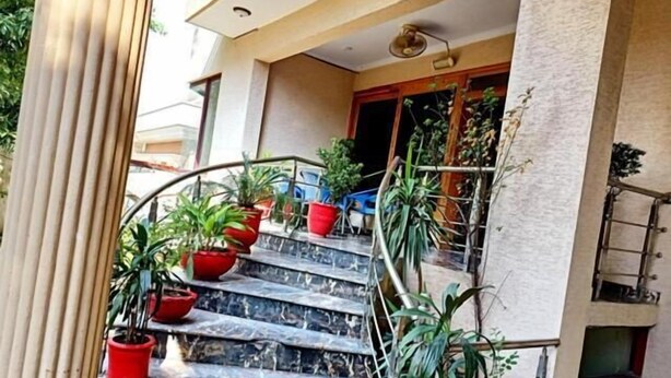 A staircase with marble steps, surrounded by potted plants. - Swiss Cottage (Islamabad)