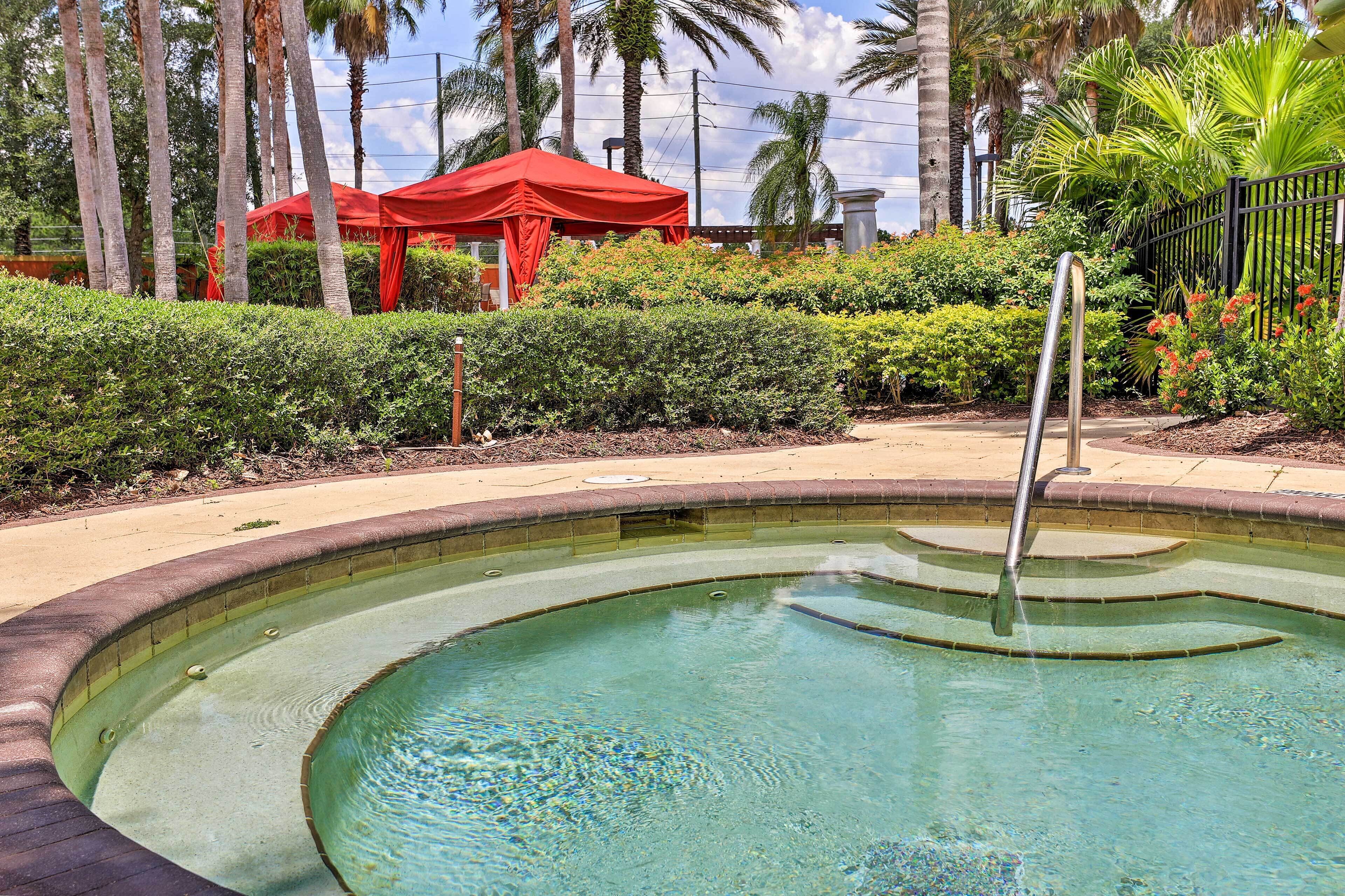 A swimming pool with a metal ladder, surrounded by a landscaped garden with bushes and palm trees.