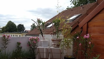 Terras