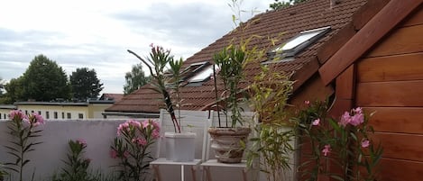 Terras