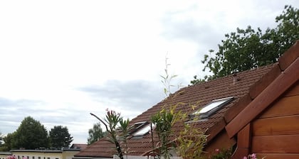 Oasis de estudio soleado