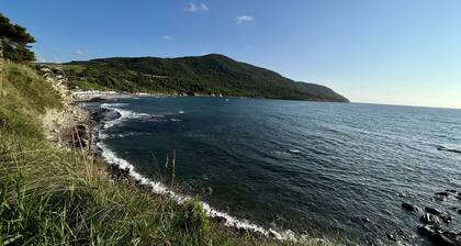 Sea, culture comfort and relaxation in the capital of Cilento