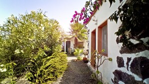 Un étroit sentier mène à un bâtiment à la façade en pierre, avec un petit jardin agrémenté de diverses plantes et fleurs.