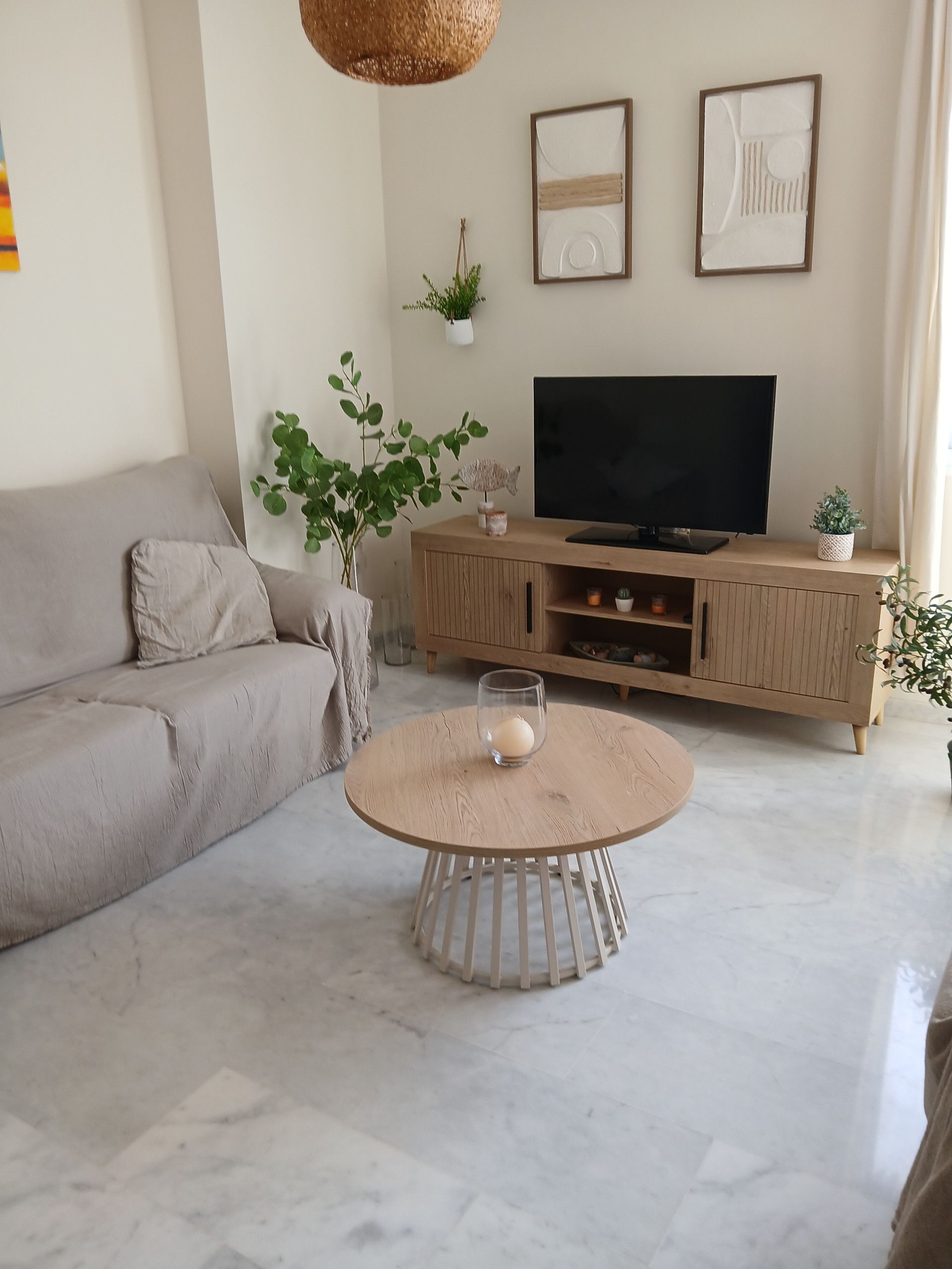 Un saló amb un sofà, una taula de centre, una televisió sobre un moble de fusta i una planta penjant.