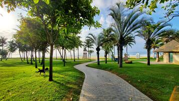 Stroll along the paved pathway lined with palm trees and lush greenery, leading to a serene beach area.
