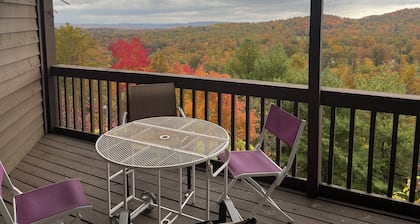 Winterplace Condo D305