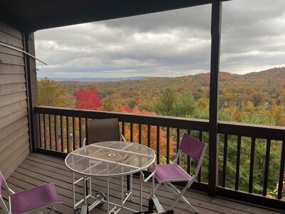 Winterplace Condo D305