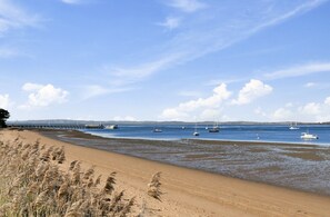 On the beach - Pukeko Beach House (Rhyll)