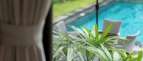 A view of a swimming pool with white lounge chairs and green foliage in the foreground.
