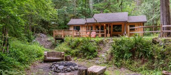 Charming vintage cabin  ,hot tub, wood stove, game room, secluded !