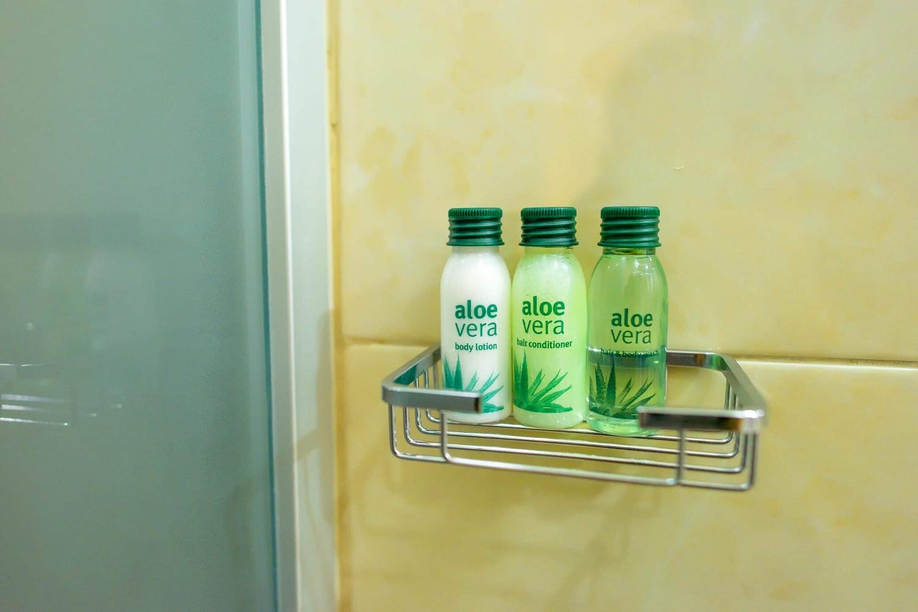 shower, rainfall showerhead, free toiletries, hair dryer