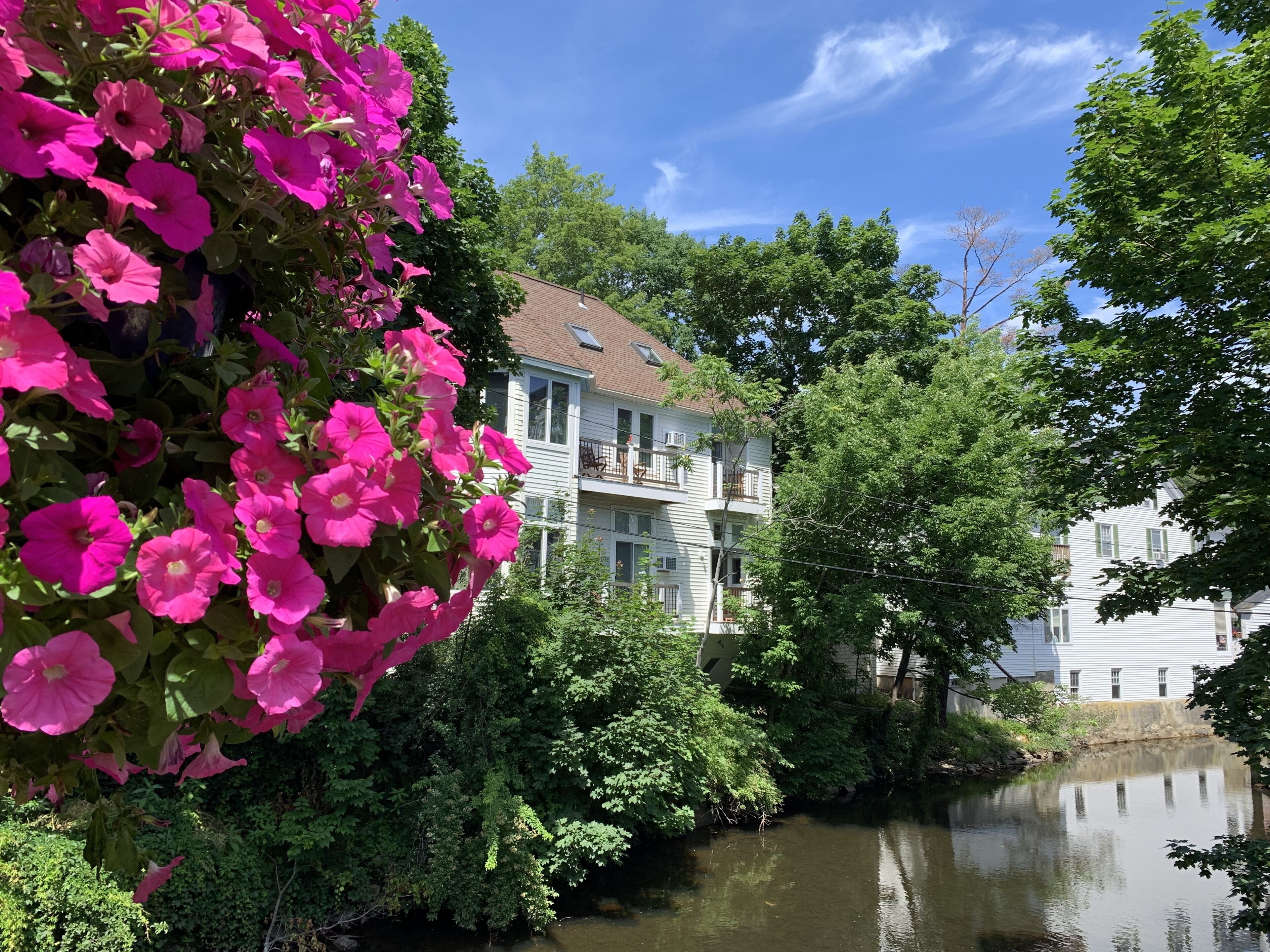 In-Town Camden - Townhouse with Parking🌸