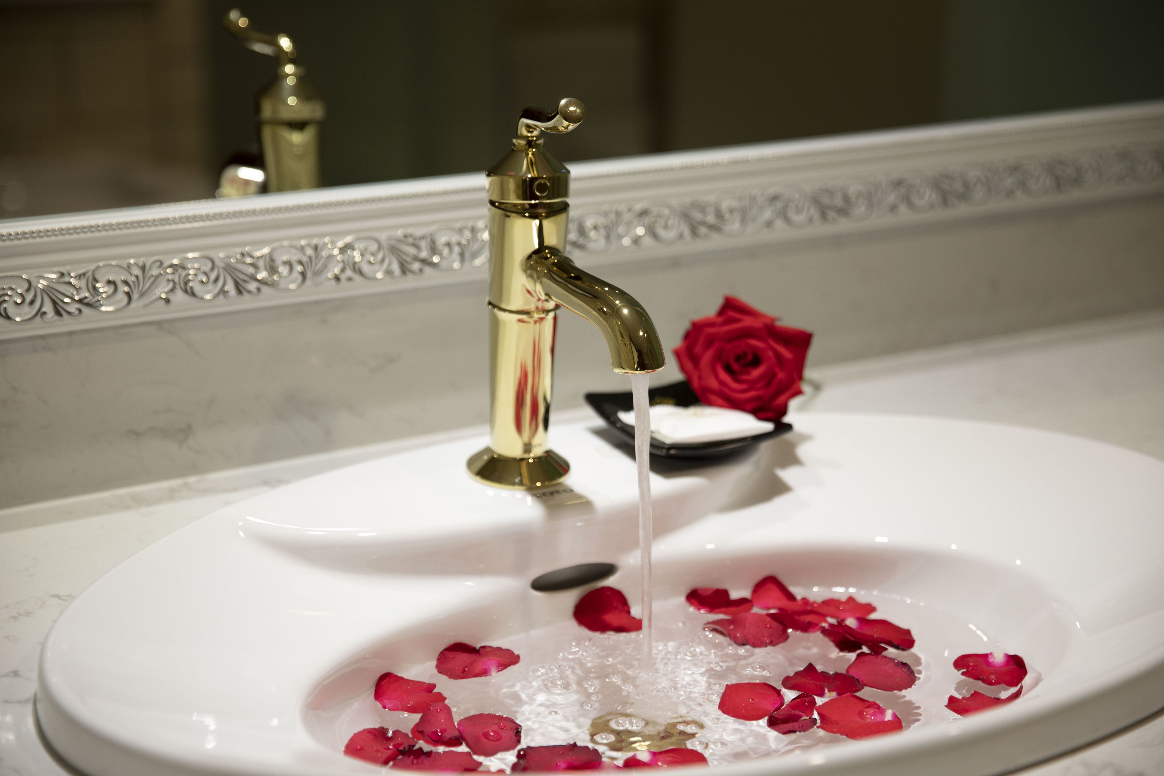 suite | bathroom sink