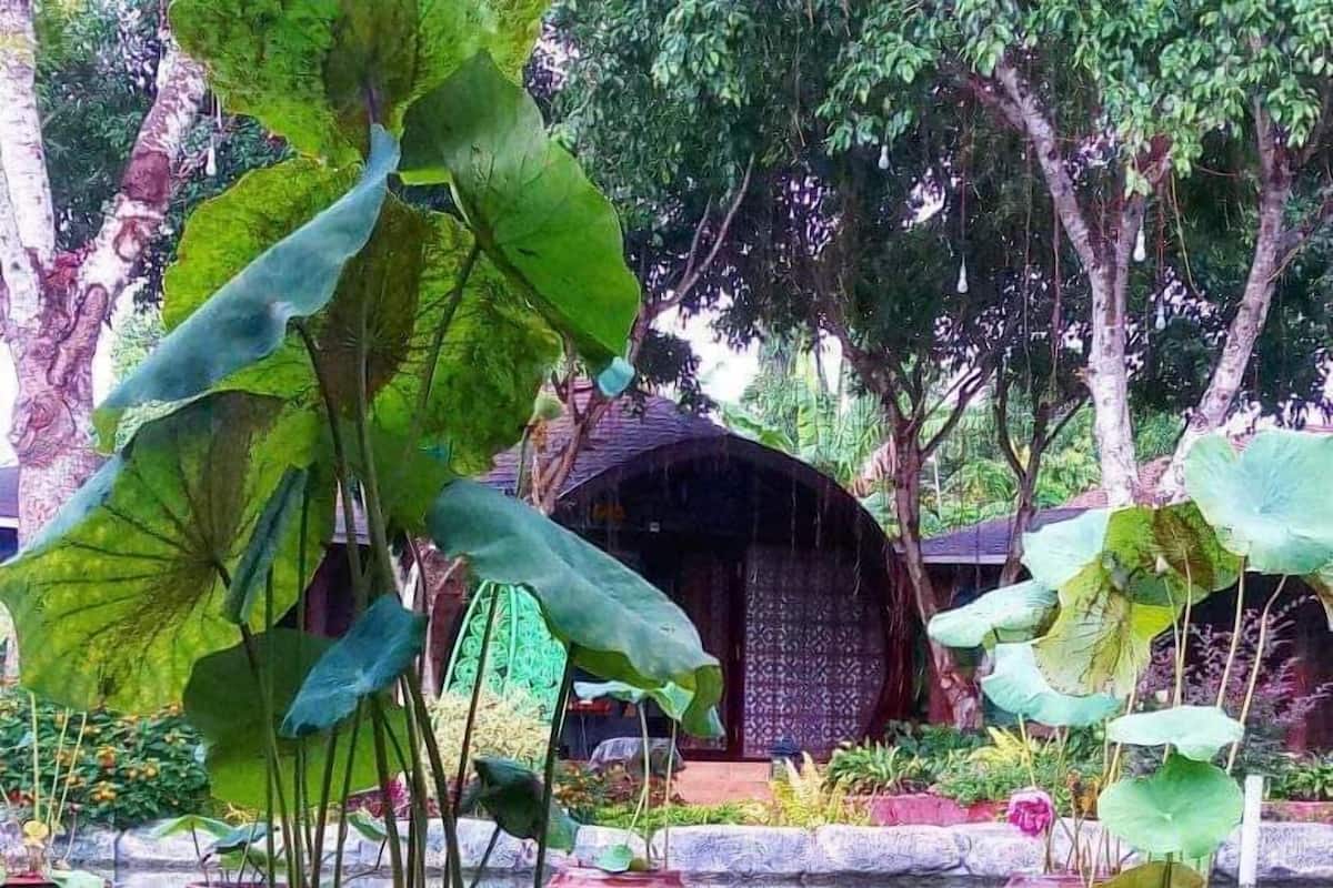 Triple Bungalow With Pool View | Minibar, in-room safe, desk, laptop workspace