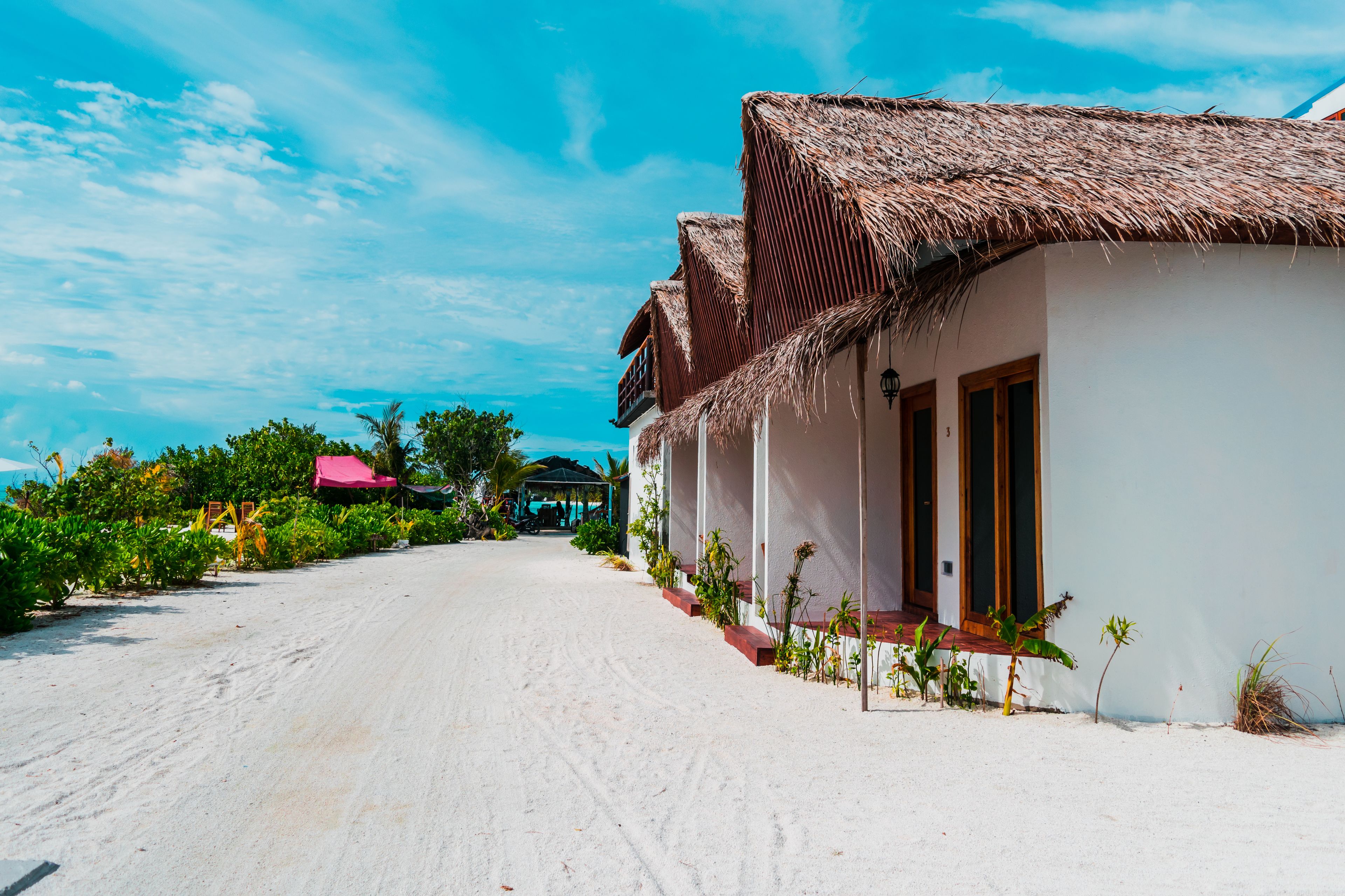 A sandy beach path leading to a white building with a thatched roof, surrounded by greenery and a clear blue sky.