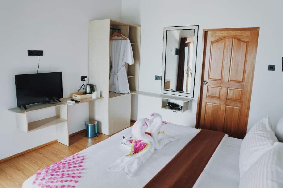Habitación de hotel con cama, televisor, armario, espejo y puerta de madera.