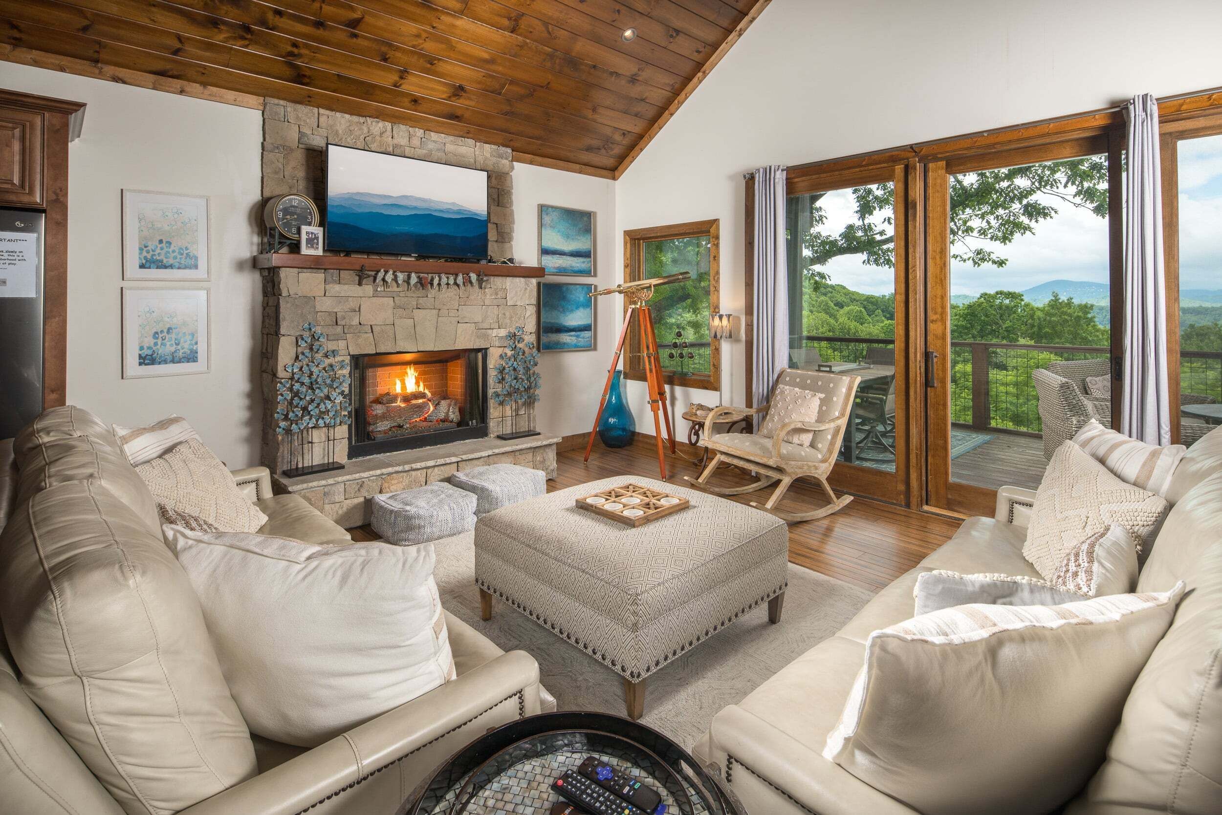 TV, fireplace