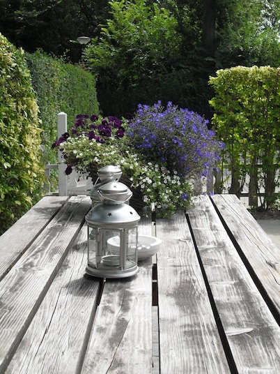 Rest, fireplace, sea, that is what our holiday bungalow can offer you